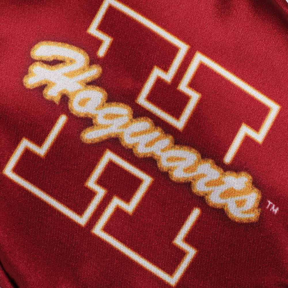 Bioworld Blanket Harry Potter Hogwarts Collegiate Travel Set NPA6691HPTPP00