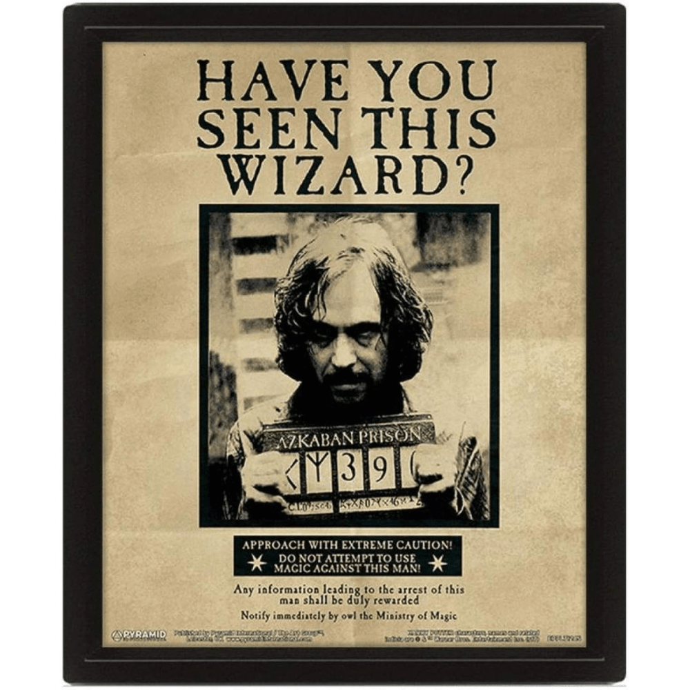 Open Road Brands Wall Art Harry Potter Sirius Black Lenticular Framed Picture OR751860