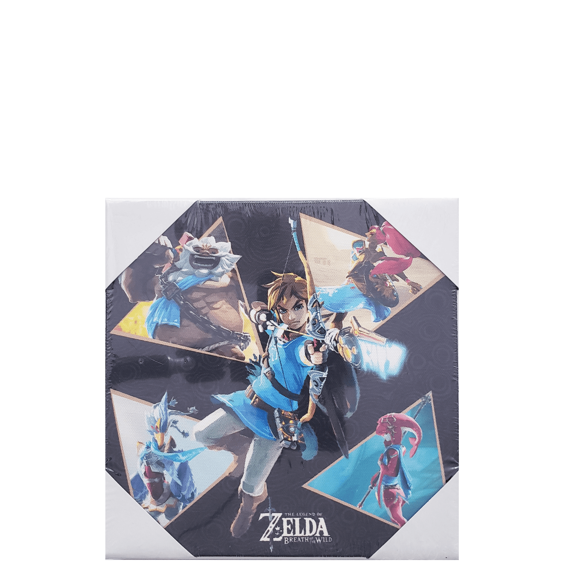 Canvas print The Legend of Zelda: Breath of The Wild - View