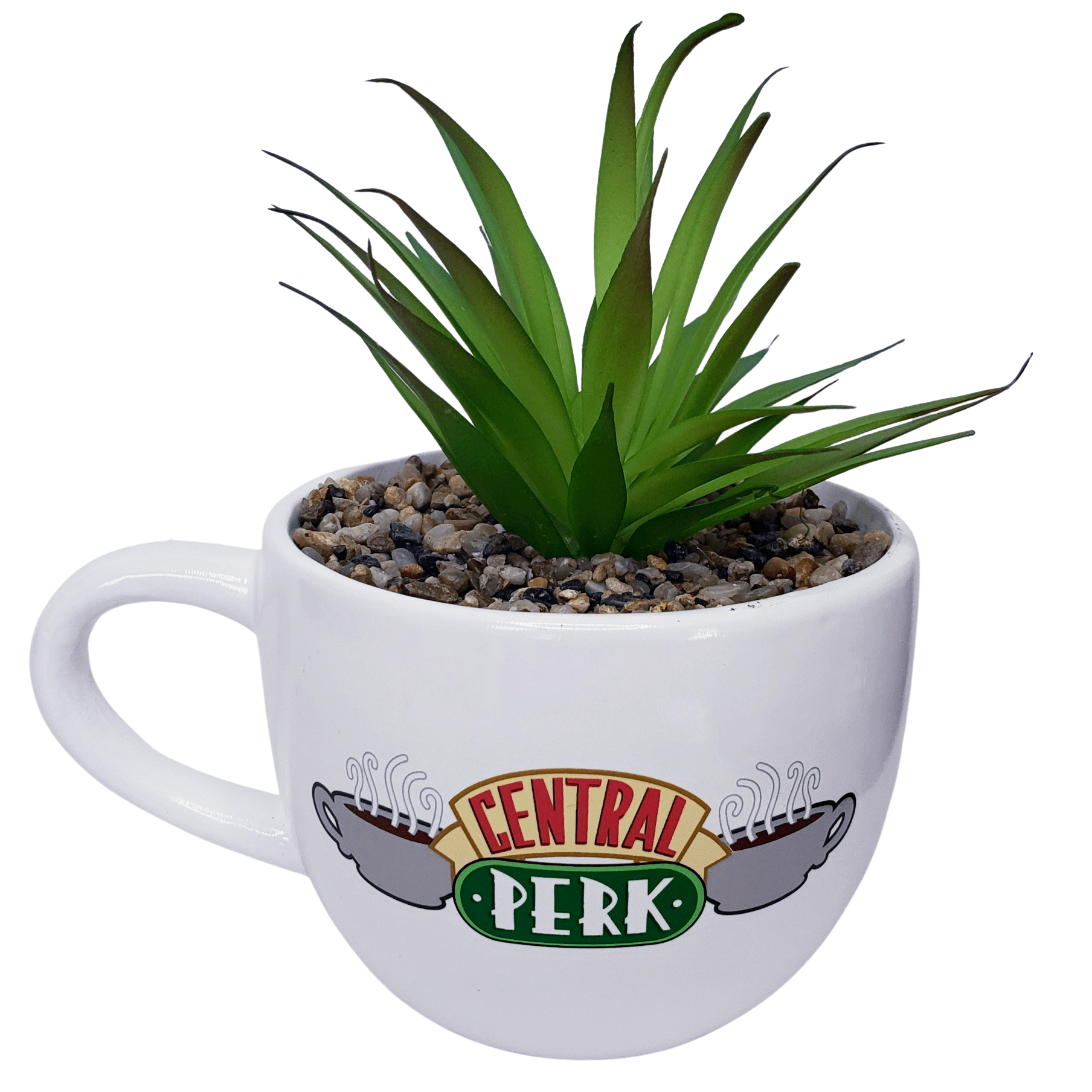 Friends TV Series Fake Succulent Planter in Central Perk Mug